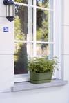 greenville trough long 50cm leaf green